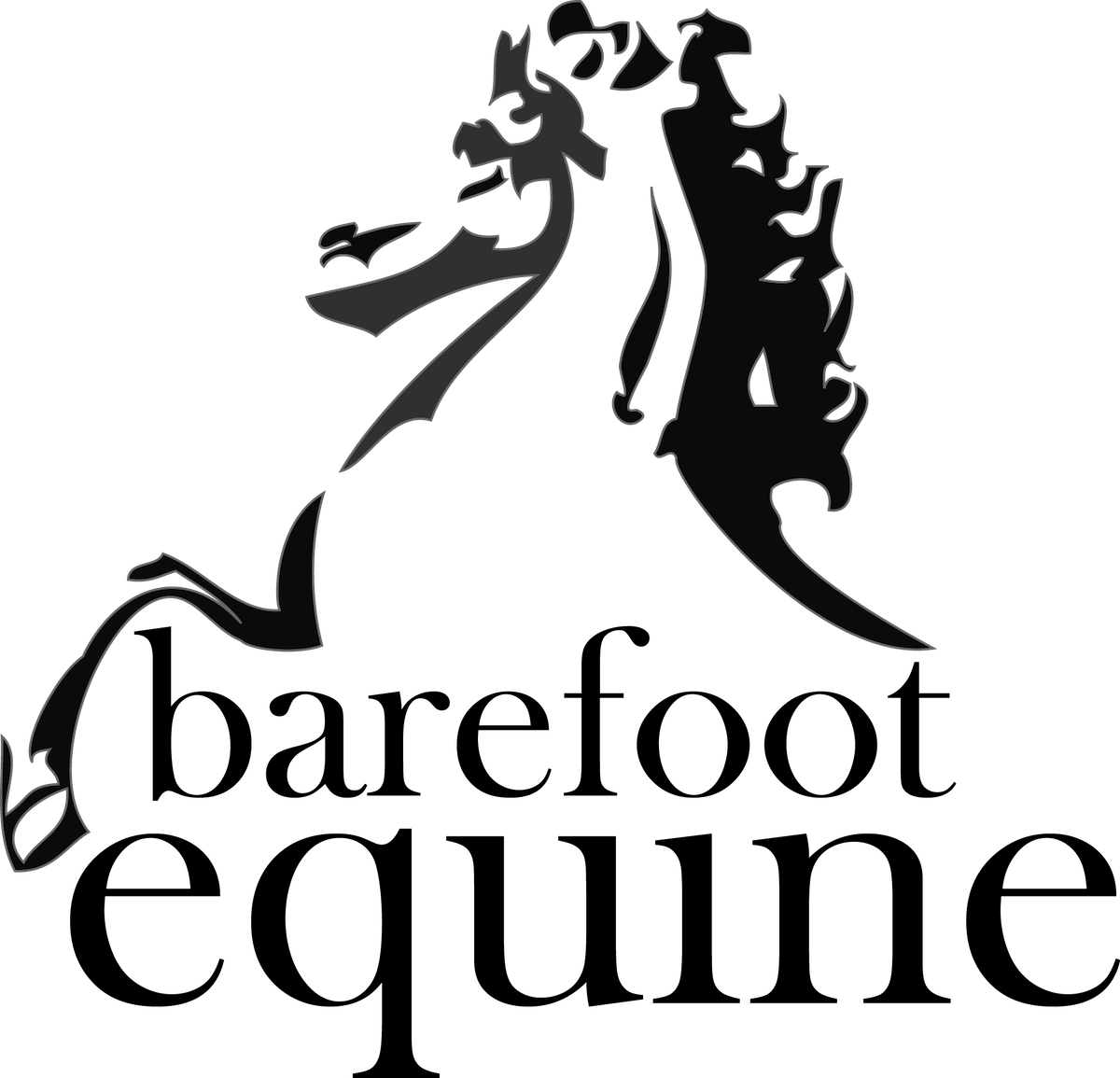 About BarefootEquine about-barefootequine