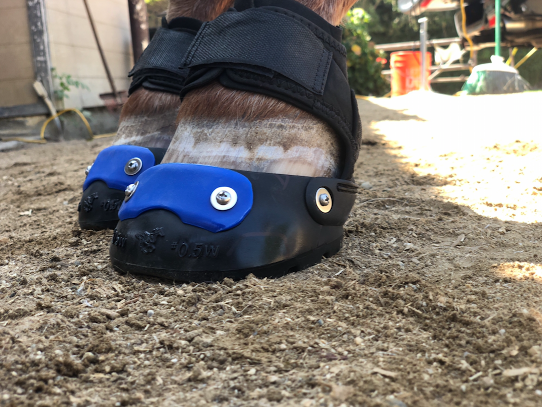 Glove Boots