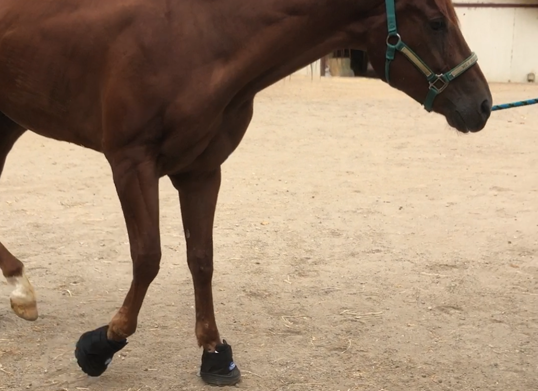 Cloud Boots
